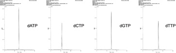 Стандартные дезоксинуклеотидтрифосфаты dNTP для ПЦР